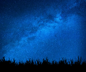 Stars light up the night sky.