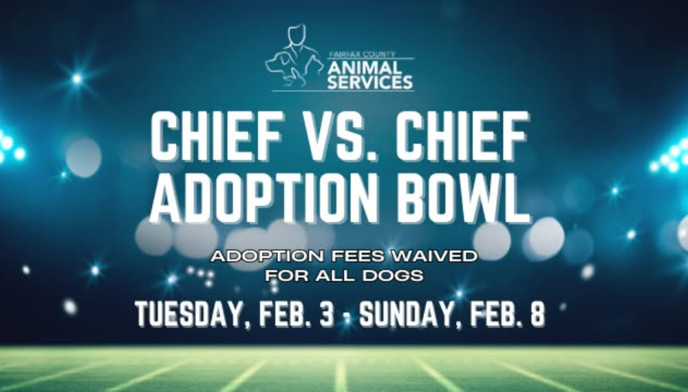 Chief vs. Chief Adoption Bowl, Adoption Fees Waived for All Dogs. Tuesday, Feb. 3 - Sunday, Feb. 8