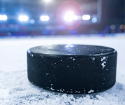 A hockey puck sits on the ice.