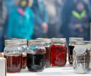 Sap taken from trees stored in jars.