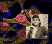 A picture of Henrietta Lacks next to a graphic of cells.