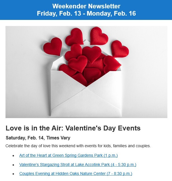 Screenshot of the Weekender Newsletter