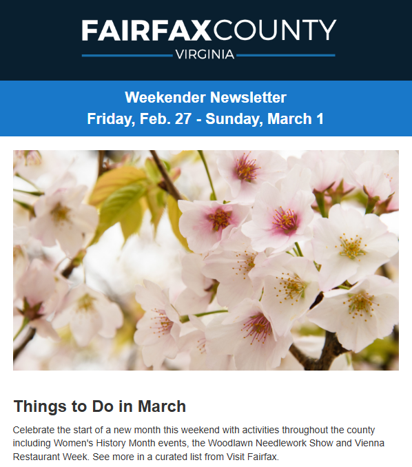 Screenshot of the latest Weekender newsletter highlighting events to do in March.