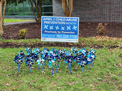 Pinwheel garden with sign outside Sherwood Library