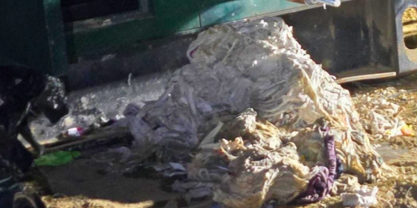 photo of wipes pulled out of potomac river