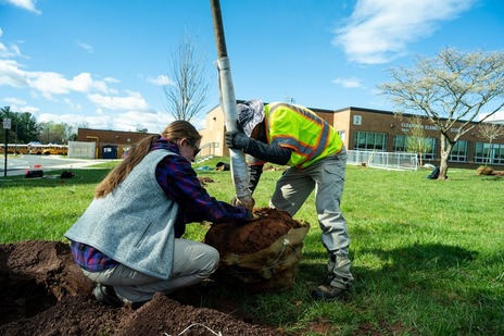 people planting trees