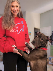 Woman holding dogs paws