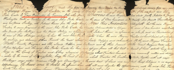 Figure 1 - George Washington as Guardian 