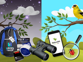 Illustration of nature-themed library kits set between night sky and daytime scenes with birds.