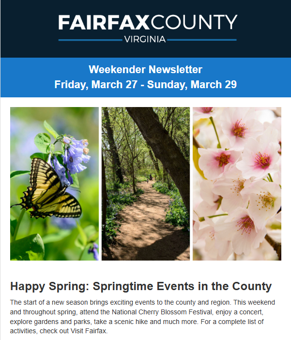 Screenshot of the latest Weekender newsletter.