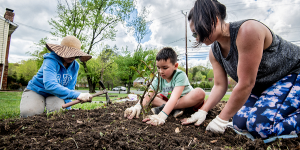 Three people, including a child, kneel in a yard and plant a small tree together.