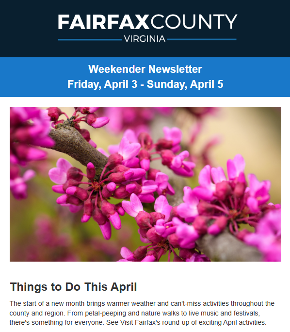 Screenshot of the latest Weekender newsletter.