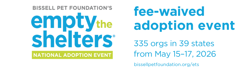 Empty the Shelters Information Graphic