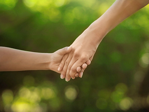 child and adult hands joined