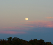 A full moon glows in a dusk sky.
