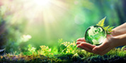 earth gloe in hand with green backgorund