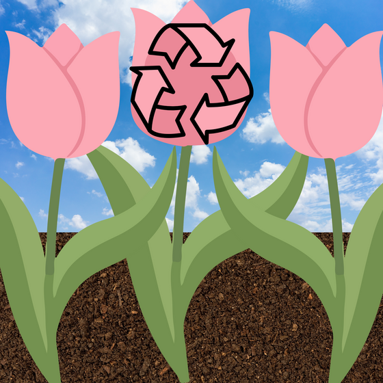 Spring 2026