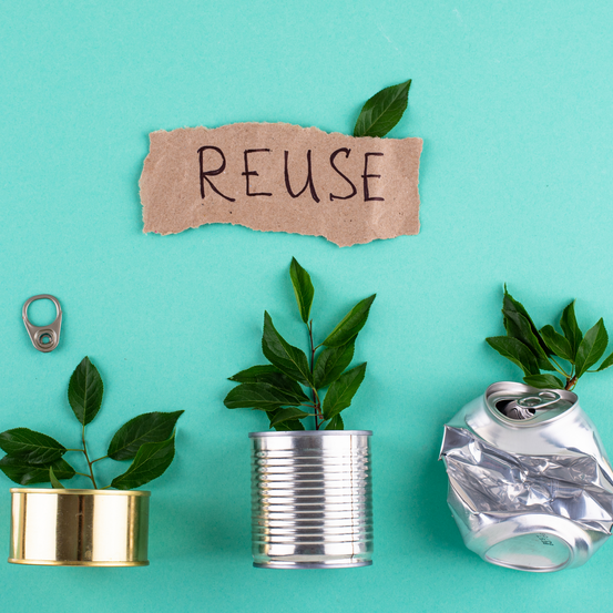 Zero Waste Garden