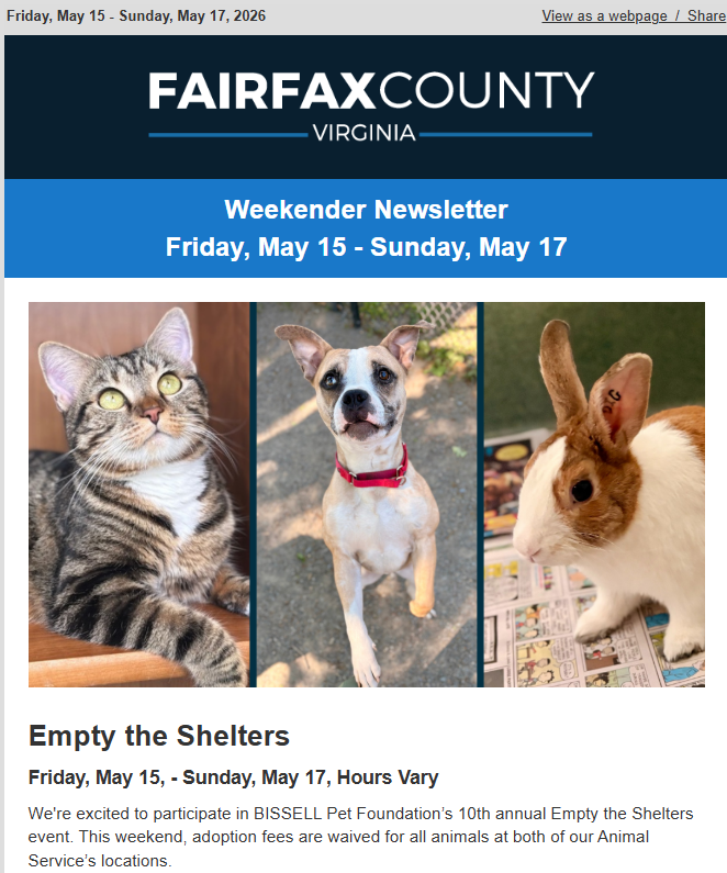 Screenshot of the latest Weekender newsletter.