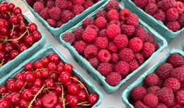 Blue cartons filled with raspberries at a Fairfax County farmers market.