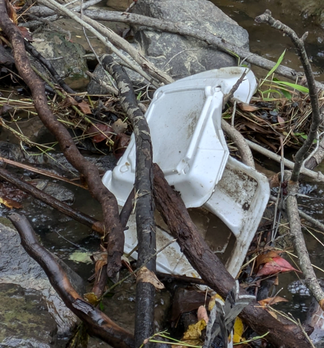 Discarded white foam food container caught among sticks and debris in a stream.