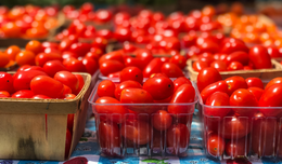 Carton of red cherry tomatoes. 