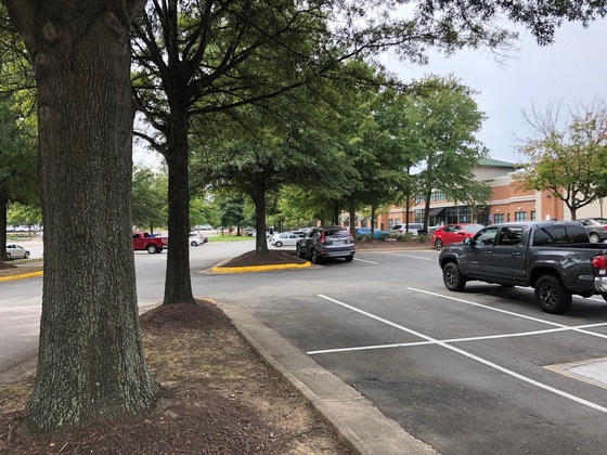Parking Lot photo