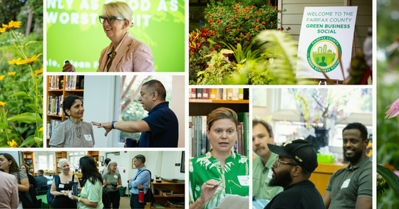 Collage of Fairfax County Green Business Social event with people networking, speaking, and enjoying plants and eco-themed displays.
