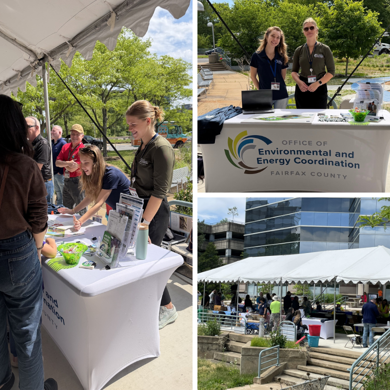 Collage of Fairfax County environmental outreach event with staff at information tables under tents outside an office building.