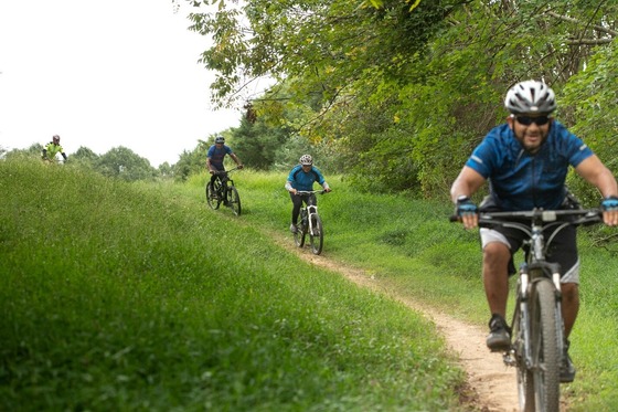 Group of cyclists riding along a narrow dirt trail through green grass and trees.