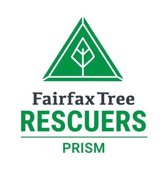 prism logo