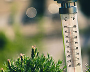 thermometer outside near grass