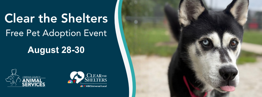 Clear the Shelters