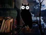 Books and graphic of owl at night