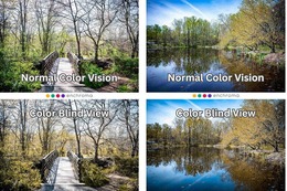 Side‑by‑side comparison picture of forest bridge and a lake shown in normal color vision on top and a color‑blind view on bottom.