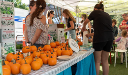 People stand near a farm stand that's selling mini pumpkins.