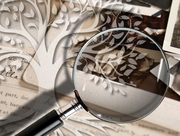 Family tree, old photos and magnifying glass