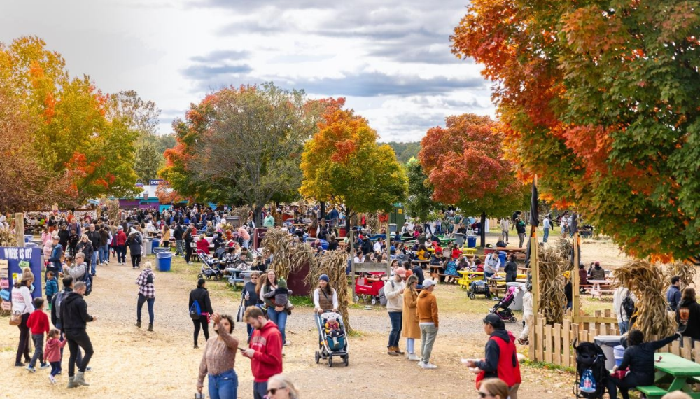 People walk around at a festival, surrounded by trees with changing leaves.