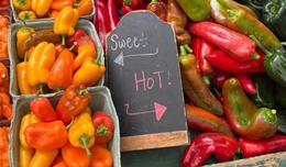 Chalkboard sign reading “Sweet →” and “Hot! ←” between baskets of orange sweet peppers and piles of red and green hot peppers at a market.