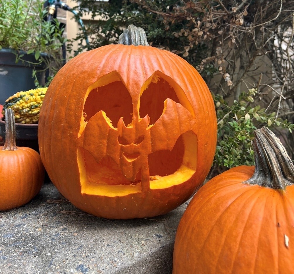 Carved pumpkin featuring a bat design surrounded by other pumpkins outdoors.