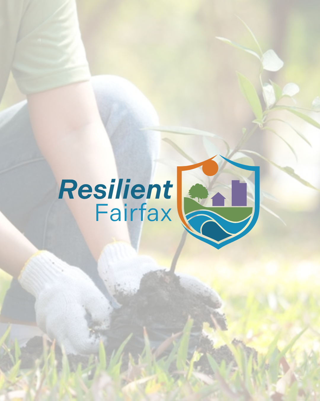 Logo for Resilient Fairfax over a faded image of hands planting a small tree in the soil.
