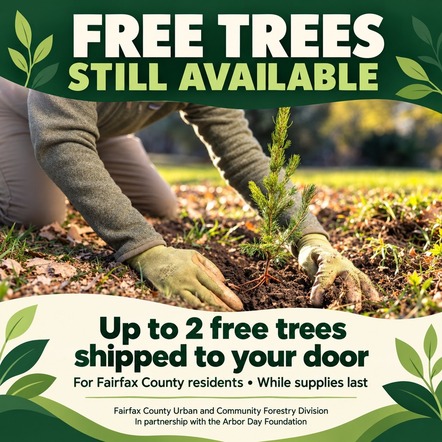 Free trees still available. 2 trees delivered to your door.