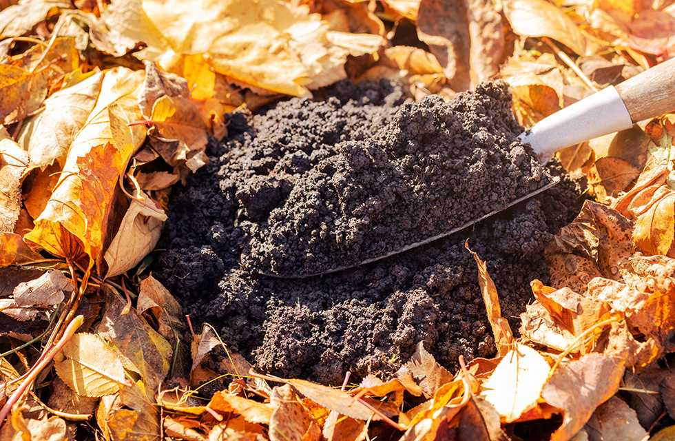 Fall composting