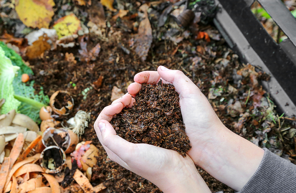 Fall composting