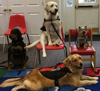 books and barks with dogs