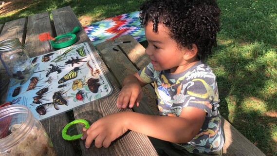 little seedlings nature camp