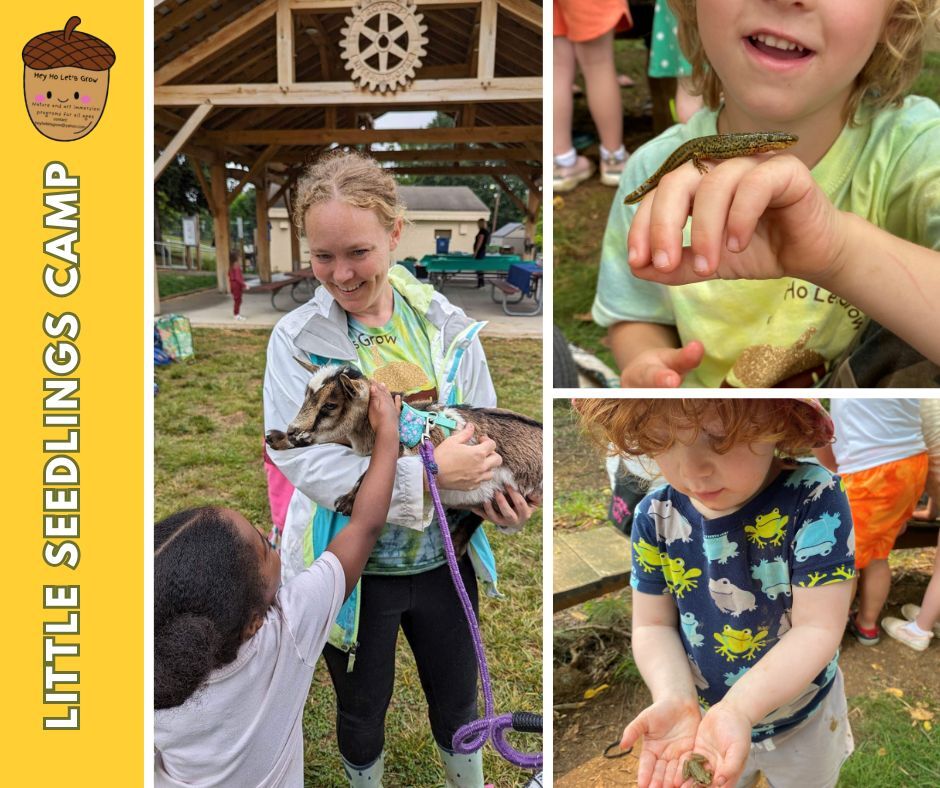 little seedlings camp