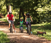A man, child, and a woman wearing helmets and riding bicycles on a park trail alongside their brown dog. 