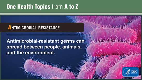 One Health Topics: Antimicrobial Resistance