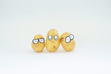 An illustration of three potatoes standing on end with pen-drawn glasses.